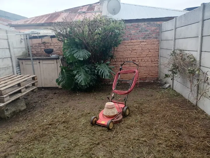 A cleared and mown back yard